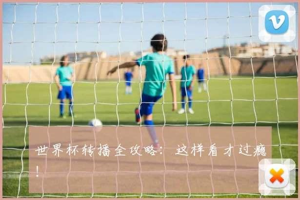 世界杯转播全攻略：这样看才过瘾！