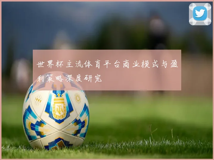 世界杯主流体育平台商业模式与盈利策略深度研究