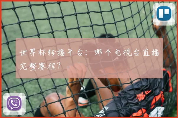 世界杯转播平台:哪个电视台直播完整赛程?
