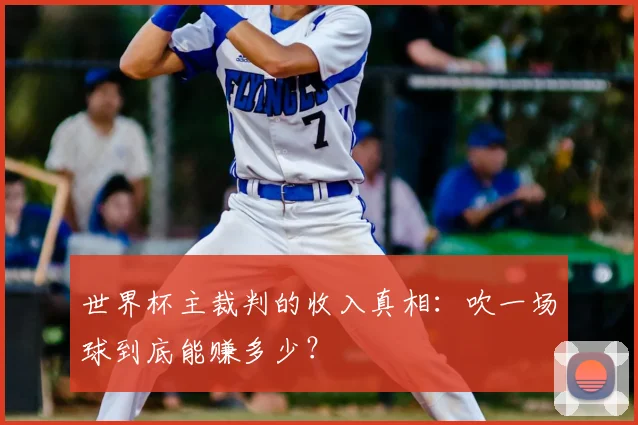世界杯主裁判的收入真相:吹一场球到底能赚多少?