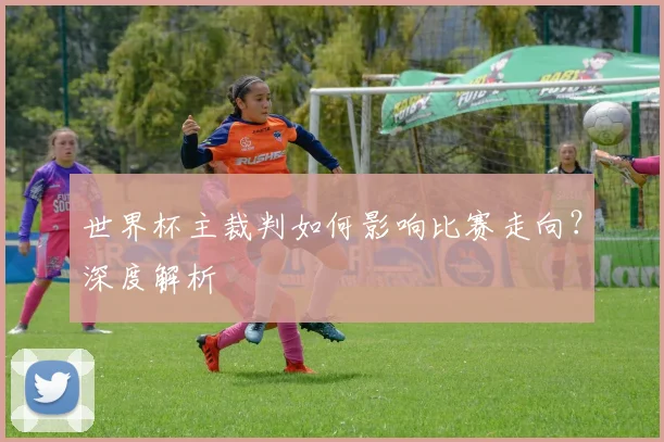 世界杯主裁判如何影响比赛走向?深度解析