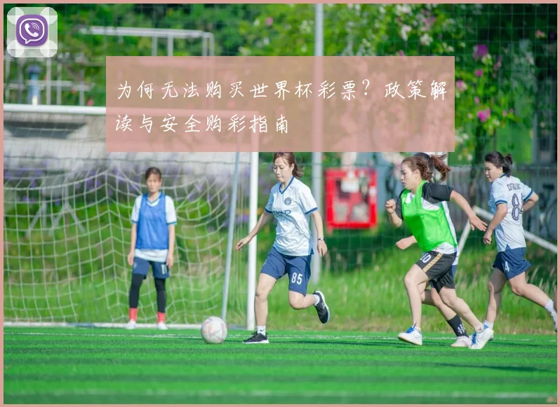 为何无法购买世界杯彩票？政策解读与安全购彩指南